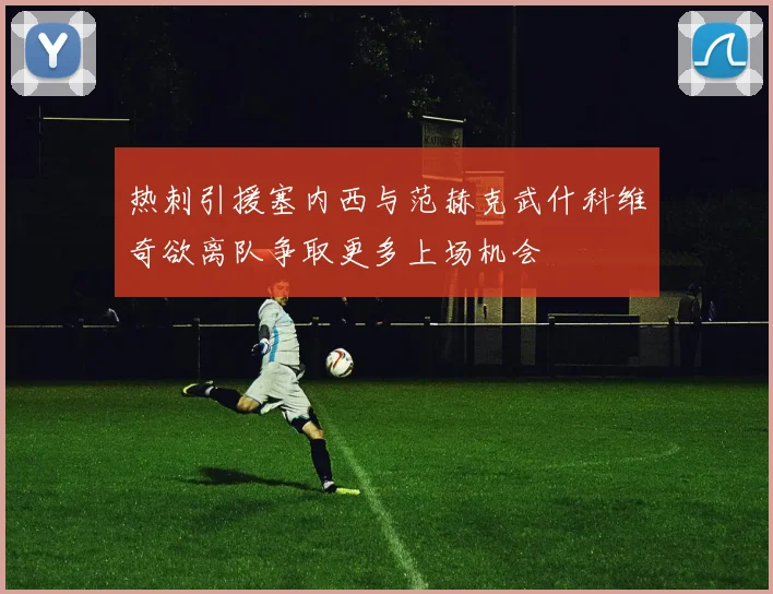 热刺引援塞内西与范赫克武什科维奇欲离队争取更多上场机会