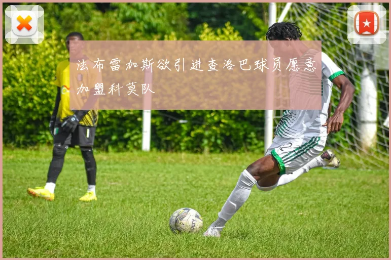 法布雷加斯欲引进查洛巴球员愿意加盟科莫队