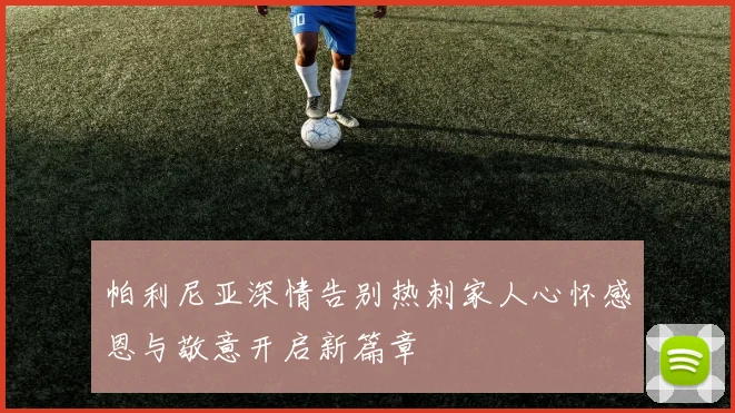 帕利尼亚深情告别热刺家人心怀感恩与敬意开启新篇章