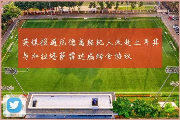 英媒报道厄德高经纪人未赴土耳其与加拉塔萨雷达成转会协议